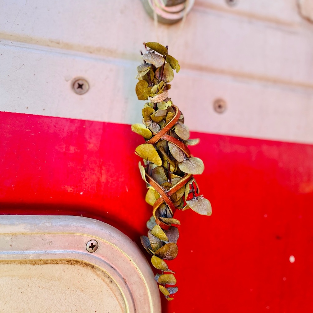Small Dried Eucalyptus Bundle for Car or Home